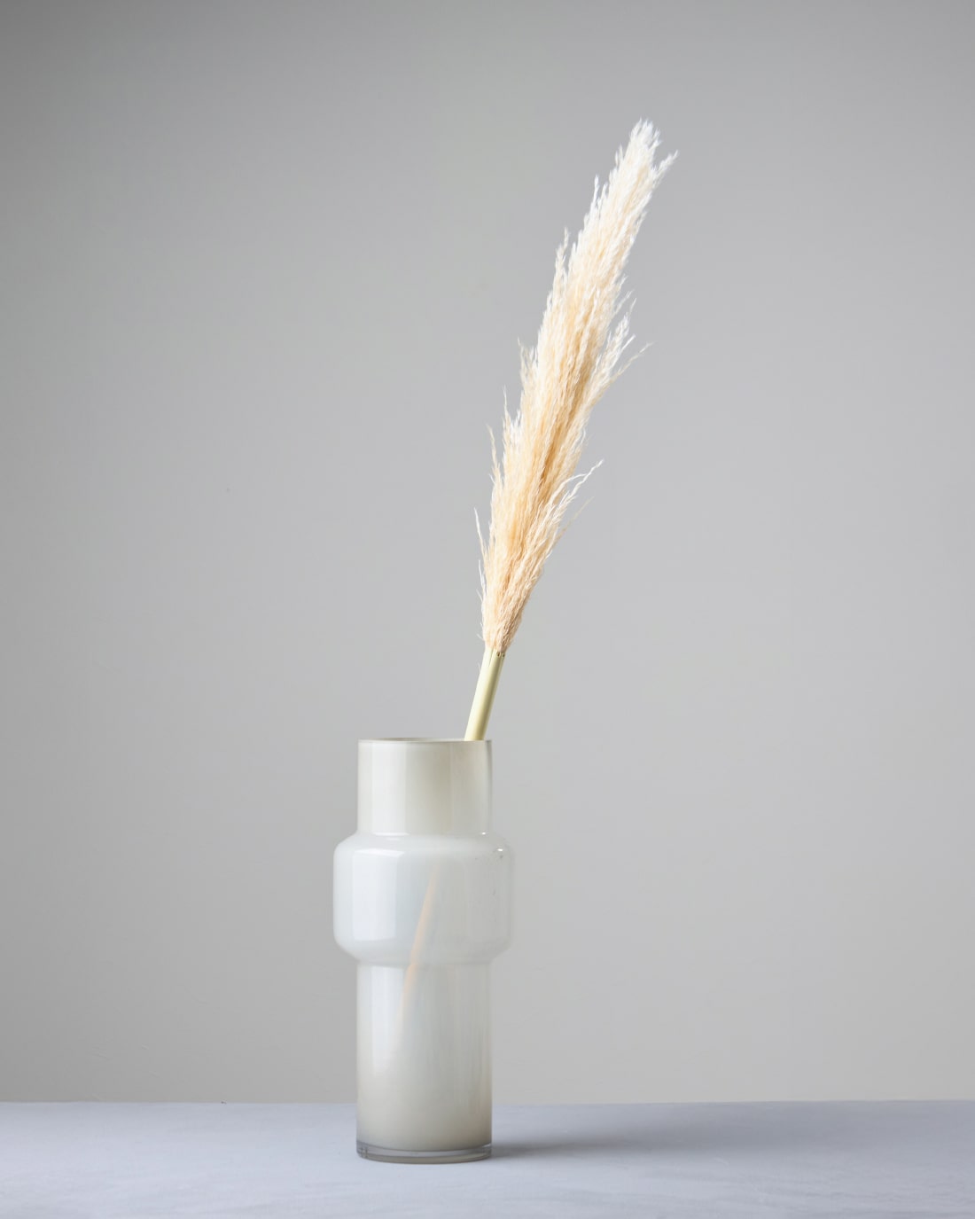 ドライフラワー］パンパスグラス商品ページ - 土と風の植物園