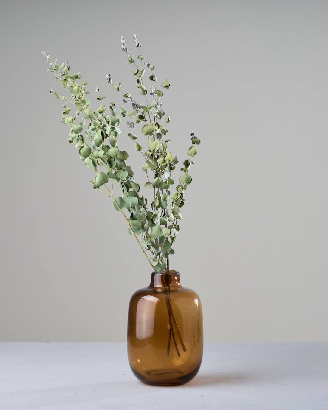 ドライフラワー］ユーカリ グニー 商品ページ - 土と風の植物園