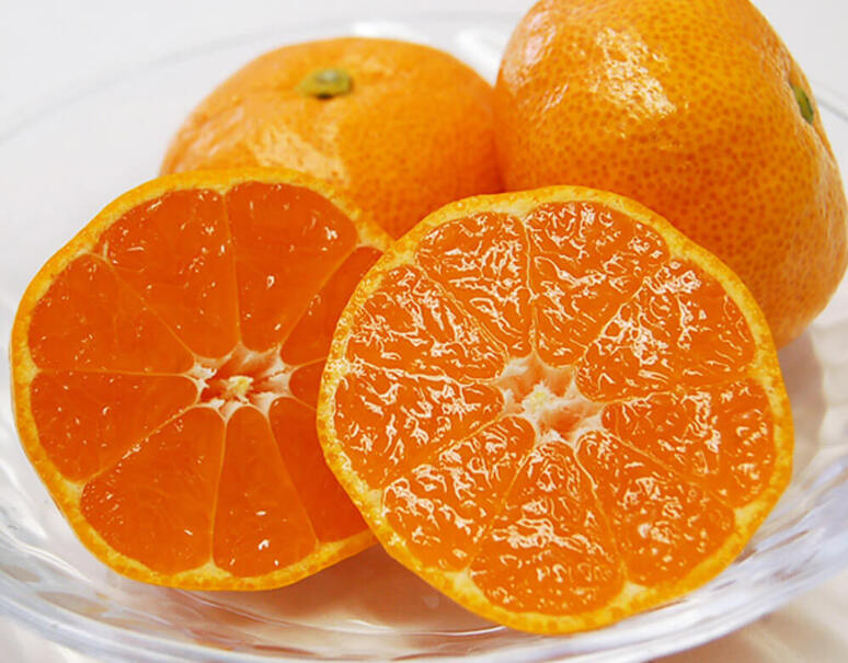 糖度12度以上選別「Only One」佐賀県産 JAからつ みかん 特秀品 約5kg