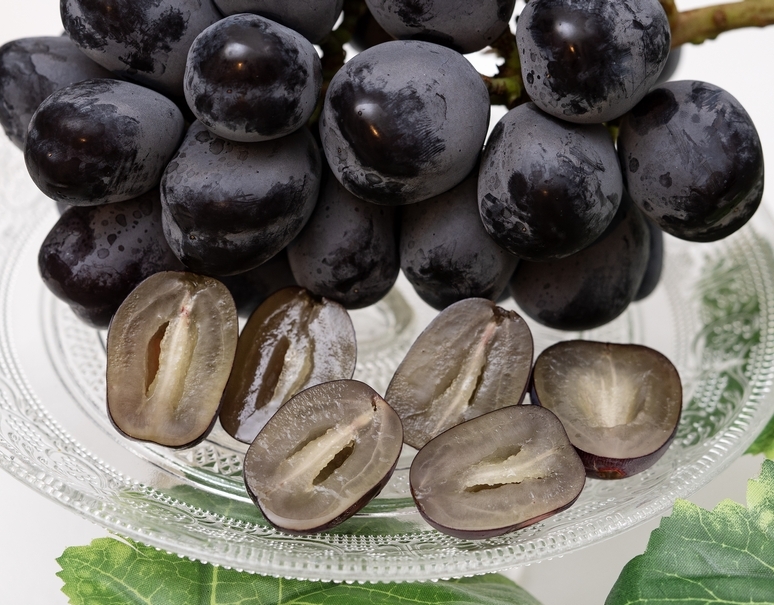 林健三さんのぶどう 「富士の輝」 長野県 上田産 1房 約500g ※冷蔵