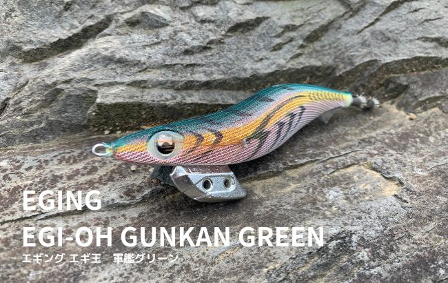 人気カラー】エギ王K『軍艦グリーン』はなぜ釣れる？マニアックなエギ