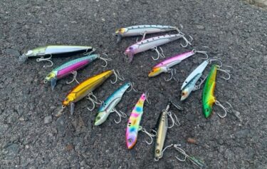 初心者必見】シーバスルアーはどう選ぶ？初めての釣りに揃えるべき