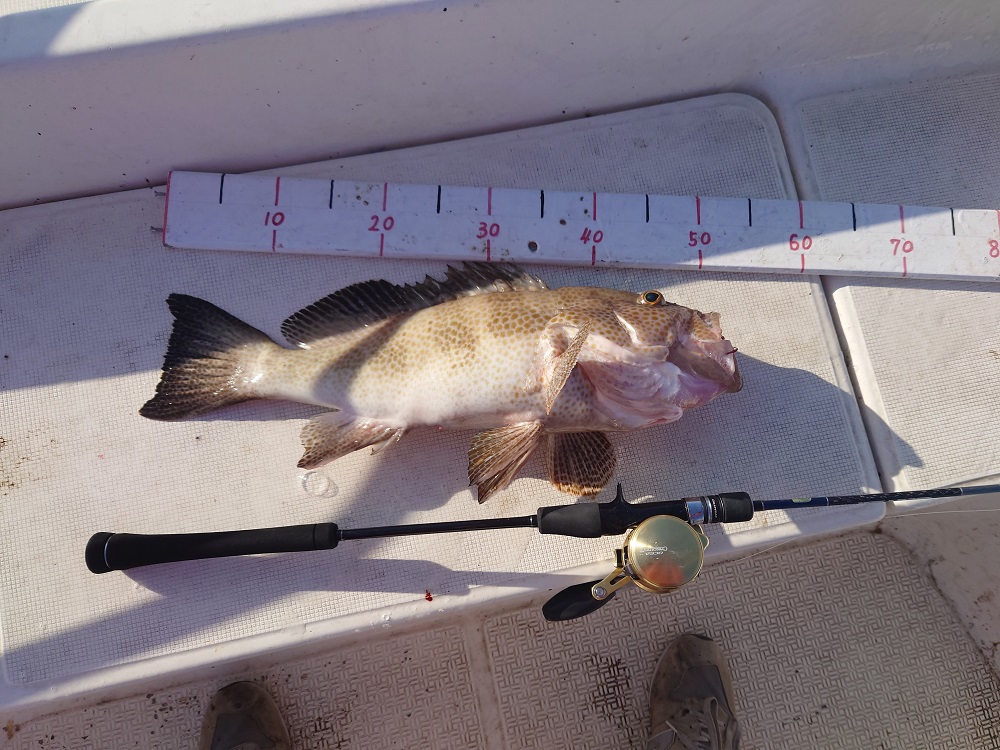 シマノ オシアコンクエスト300HGインプレ【スーパーライトジギング