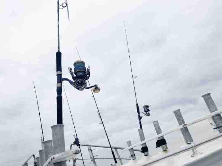 19 セルテート LT5000D-XHのスペックとインプレ | 釣りクラウド