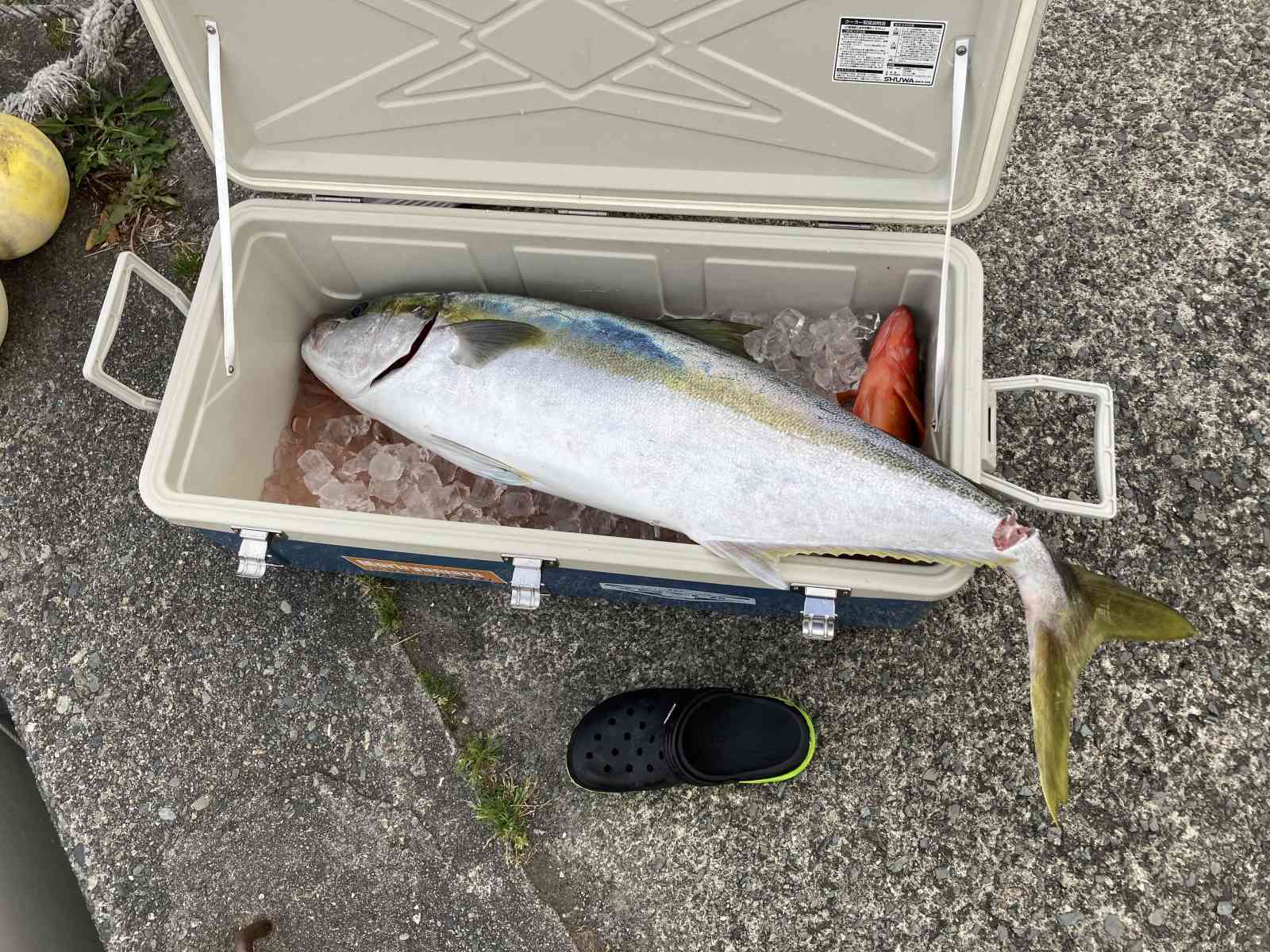 21 ツインパワー SW 14000XGのスペックとインプレ | 釣りクラウド