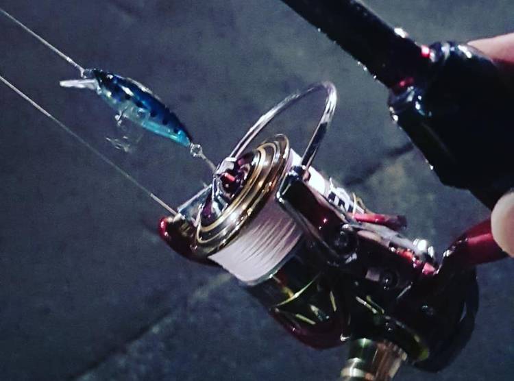 17 月下美人 EX 2004Cのスペック | 釣りクラウド