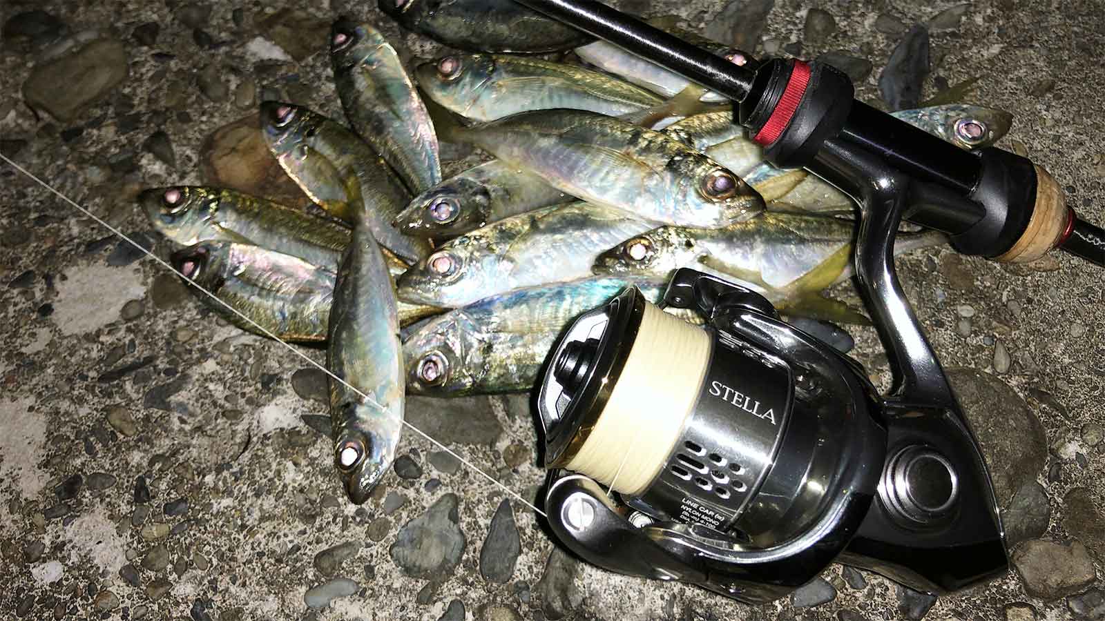 18 ステラ C2000Sのスペックとインプレ | 釣りクラウド