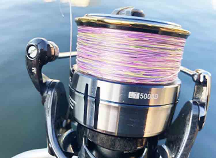 19 セルテート LT5000Dのスペックとインプレ | 釣りクラウド