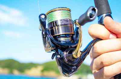 19 バリスティック LT3000-XHのスペック | 釣りクラウド