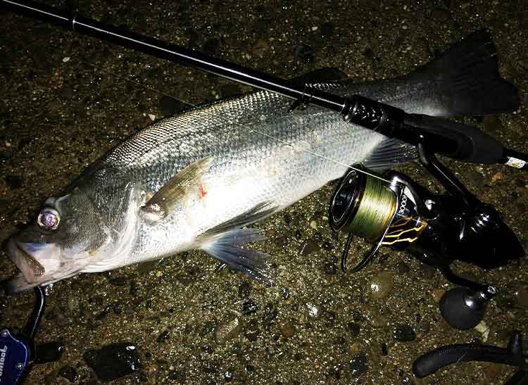 20 ツインパワー 3000MHGのスペックとインプレ | 釣りクラウド