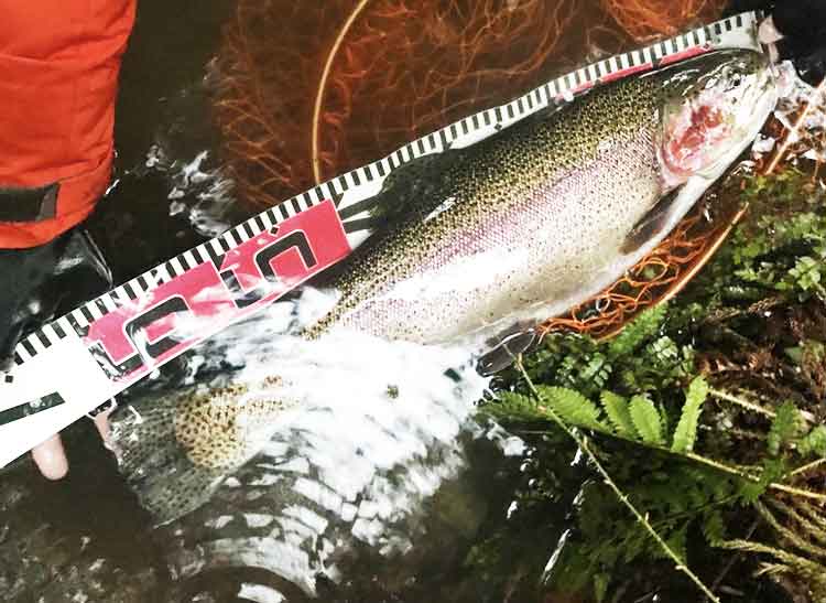 18 イグジスト LT2500のスペックとインプレ | 釣りクラウド