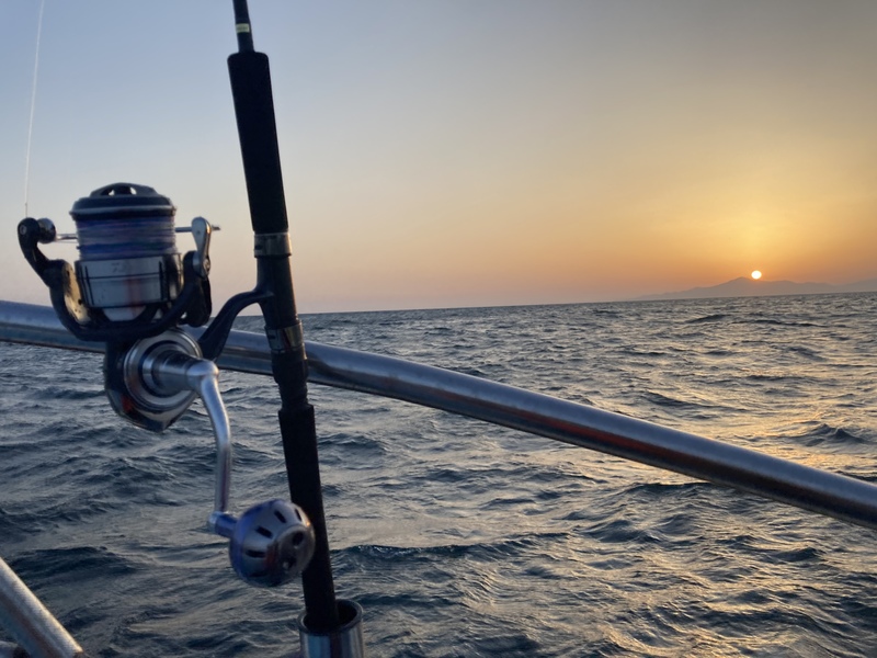 21 セルテート SW 8000-Hのスペックとインプレ | 釣りクラウド