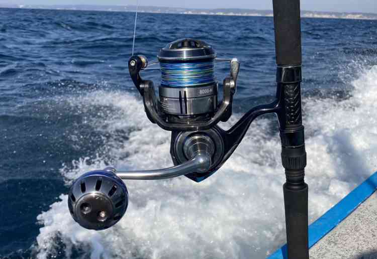 21 セルテート SW 8000-Hのスペックとインプレ | 釣りクラウド