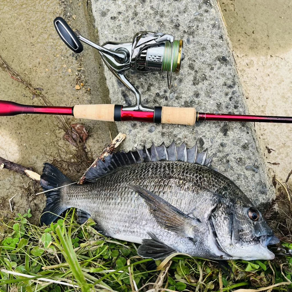 実際に買って本音レビュー】18ワールドシャウラ2701FF-2【適正ルアー