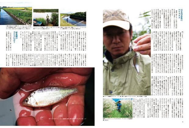 日本タナゴ釣り紀行 2