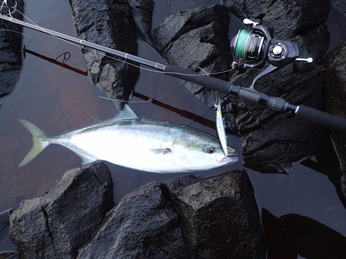 青物ロッドおすすめ】ヤマガブランクス ブルースナイパー 106H PS 徹底