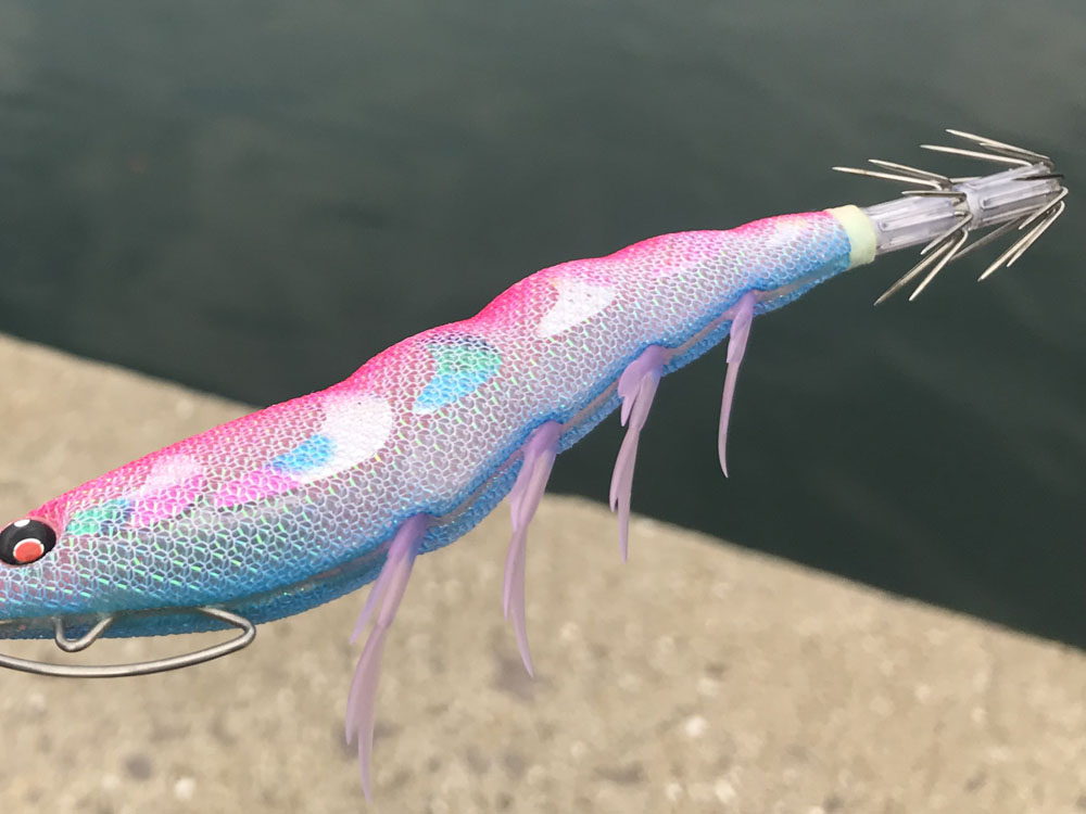 デュエル エギ「EZ-Q」「パタパタQ」シリーズ実釣インプレ！！特徴を