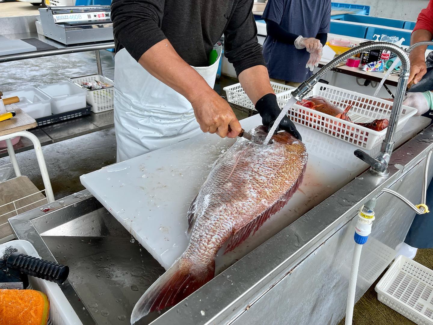 さばきや「おとちゃん」（鳩の釜漁協）(上天草市大矢野町|三角駅)の