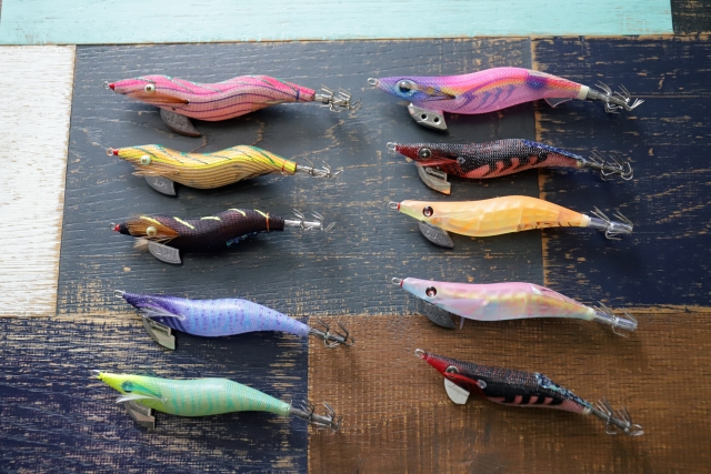 秋イカに強いエギサイズの選び方！2.5号・3号・3.5号の使い分け方と