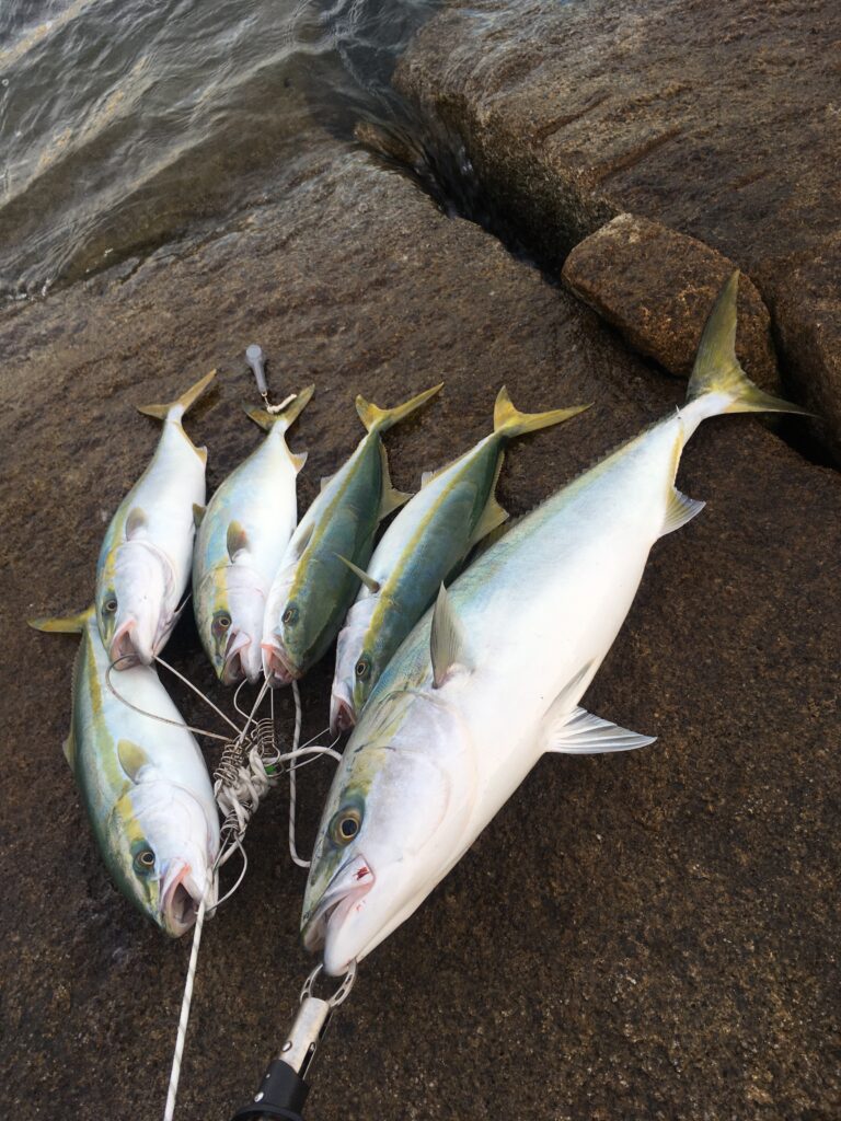 メジャークラフト 三代目クロステージ CRX-1062MH_ロッドレビュー