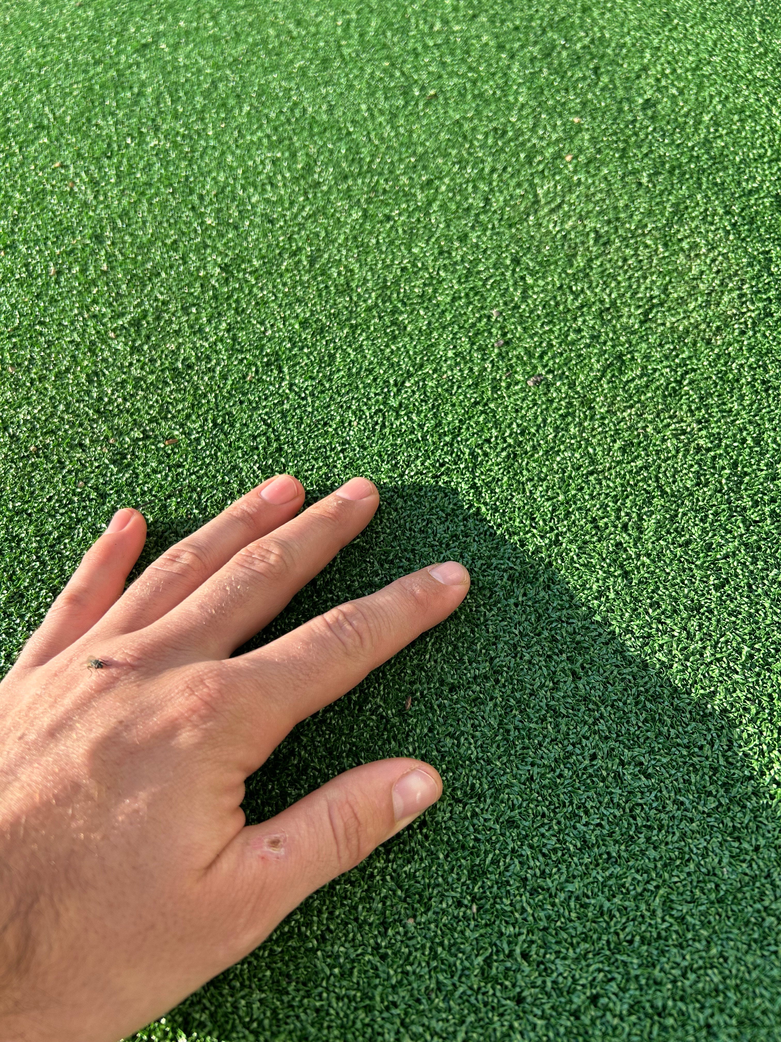 12mm Multi-Sport (2x5m) – Trompie retail