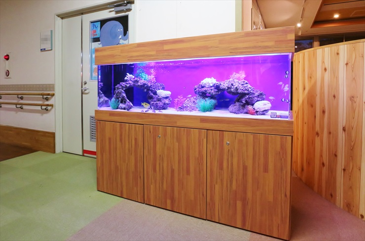 オーダーメイド水槽台の魅力!!｜アクアリウム情報メディア トロピカ