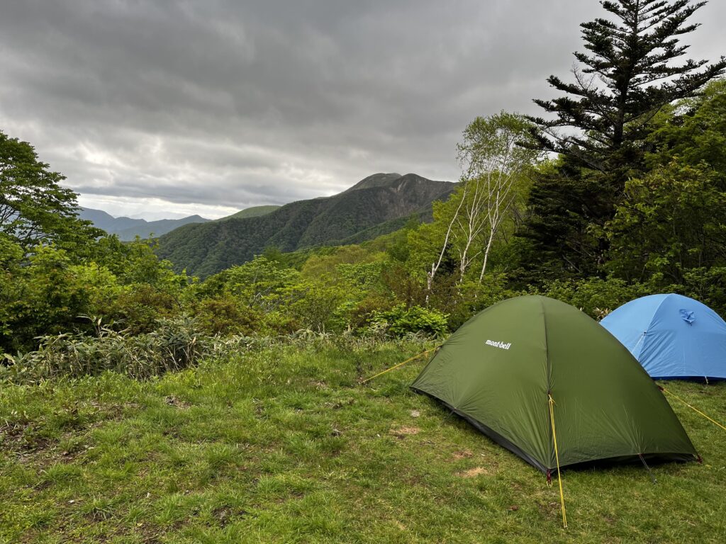 コスパで選ばれる山テント モンベル ステラリッジテント | tree