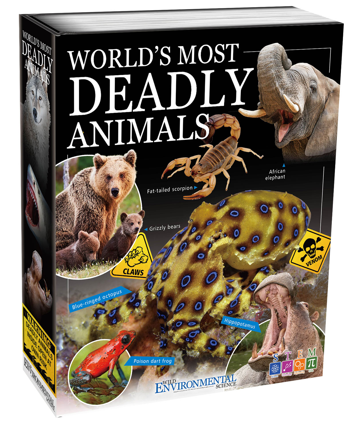 World's Most Deadly Animals | Tree Toys