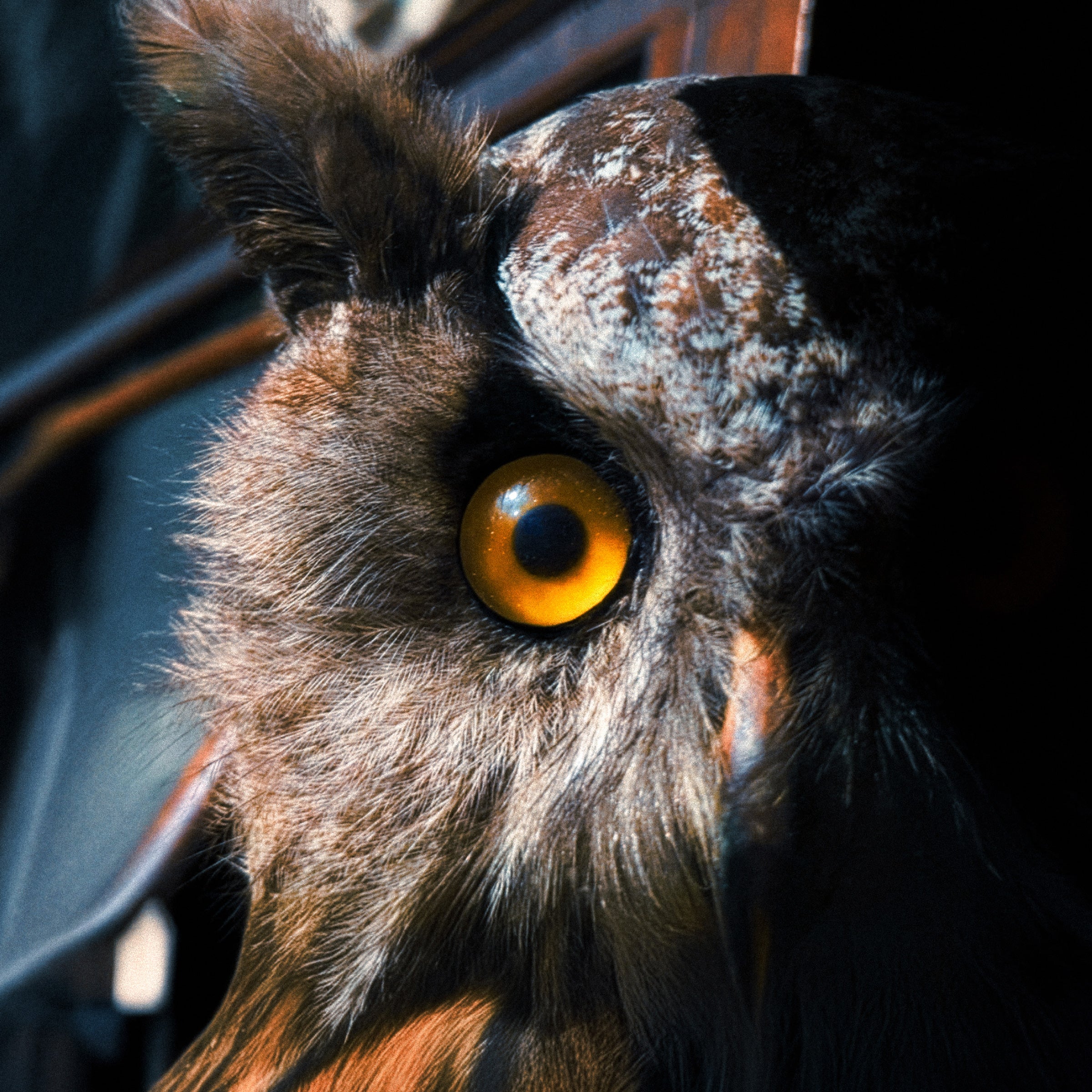 Trashcan Sinatras – TRASHCAN SINATRAS