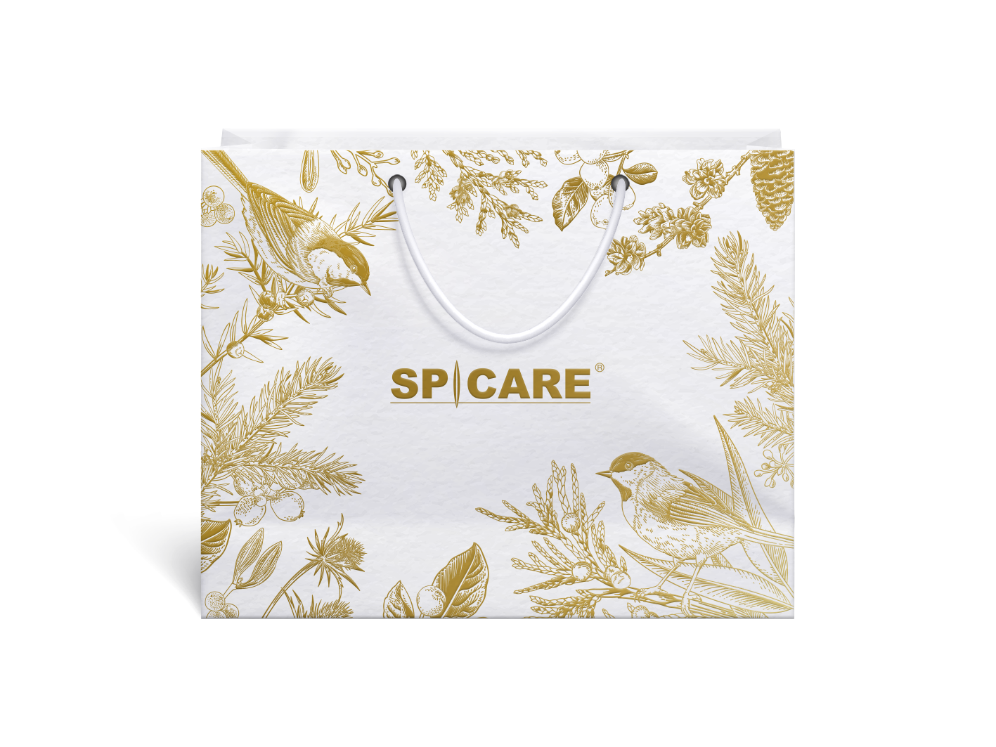 スピケア V3 限定コフレセット