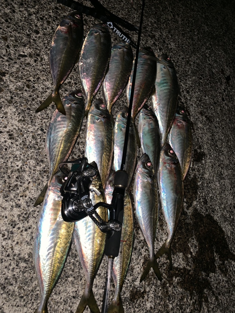 Pierrot 511 | TRUTH JAPAN