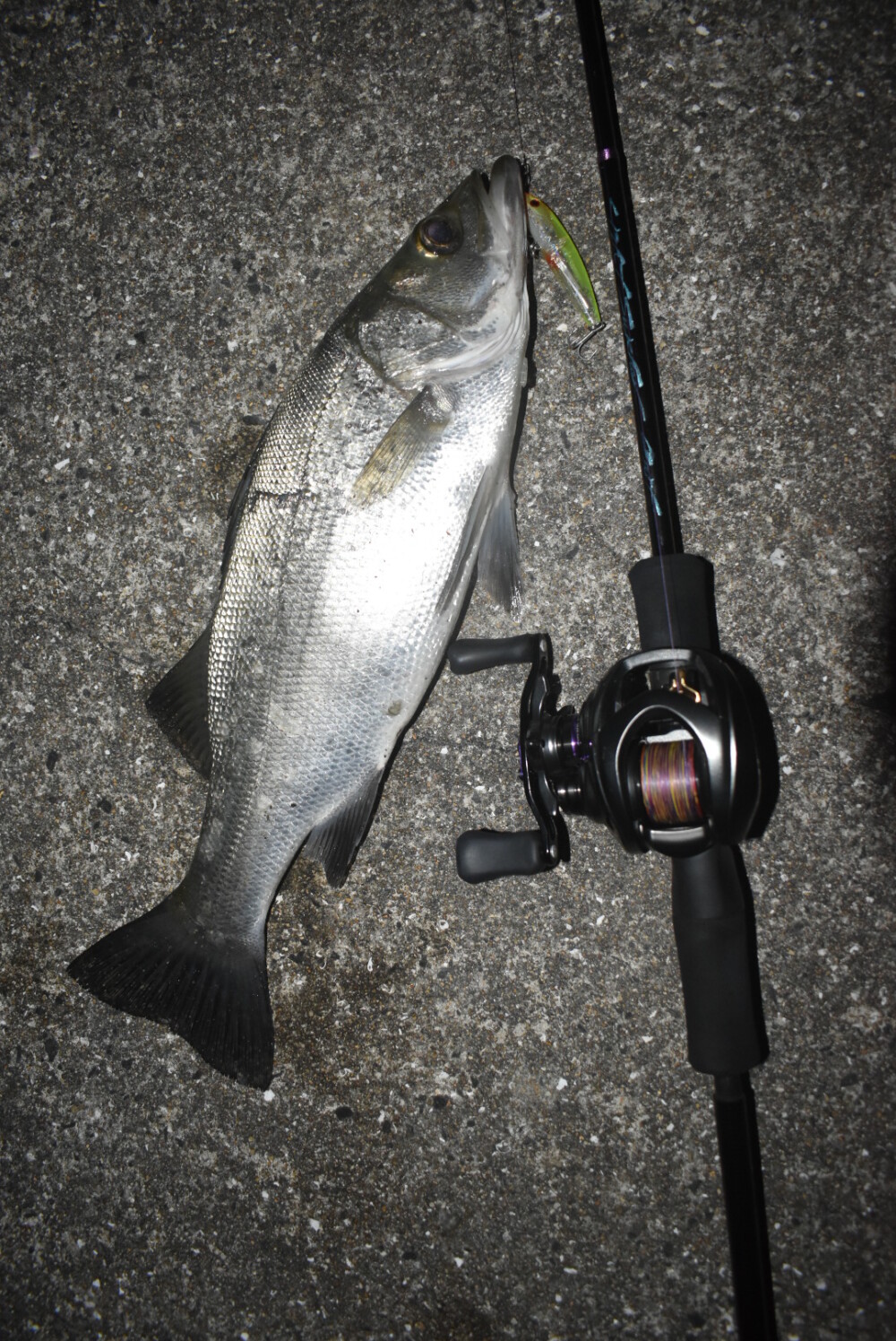 LightSwicher 73/78 | TRUTH JAPAN