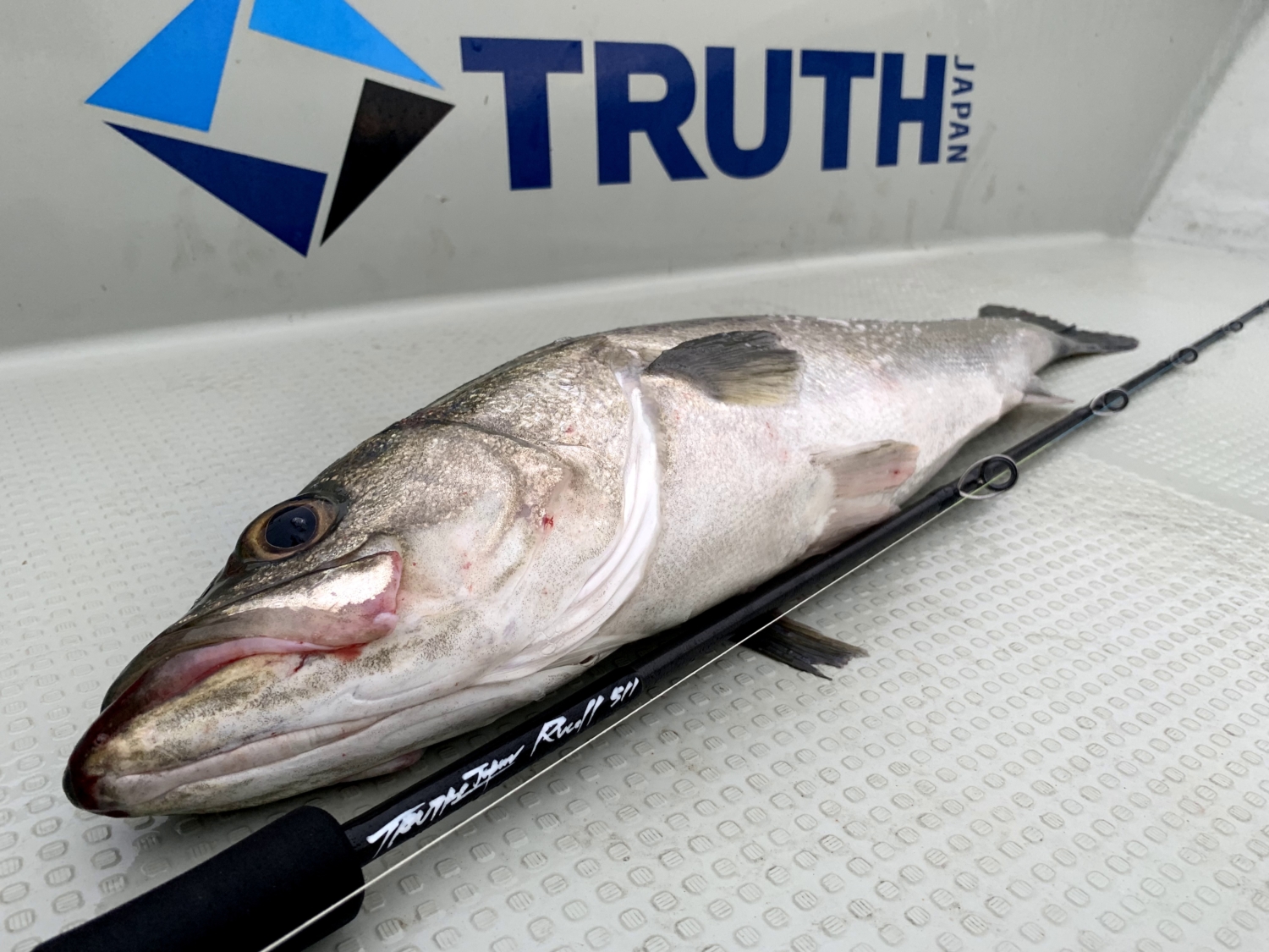 Rucell 511 | TRUTH JAPAN