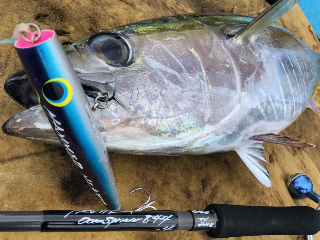 OceanSprinter 844 | TRUTH JAPAN