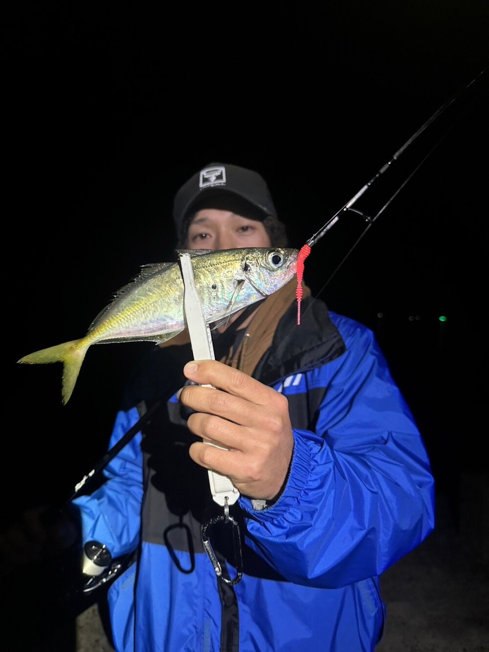 山口県周防大島 アジング (Pierrot 511S) | TRUTH JAPAN