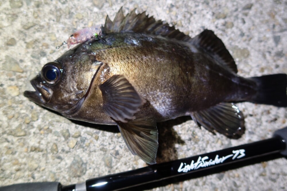 LightSwicher 73/78 | TRUTH JAPAN