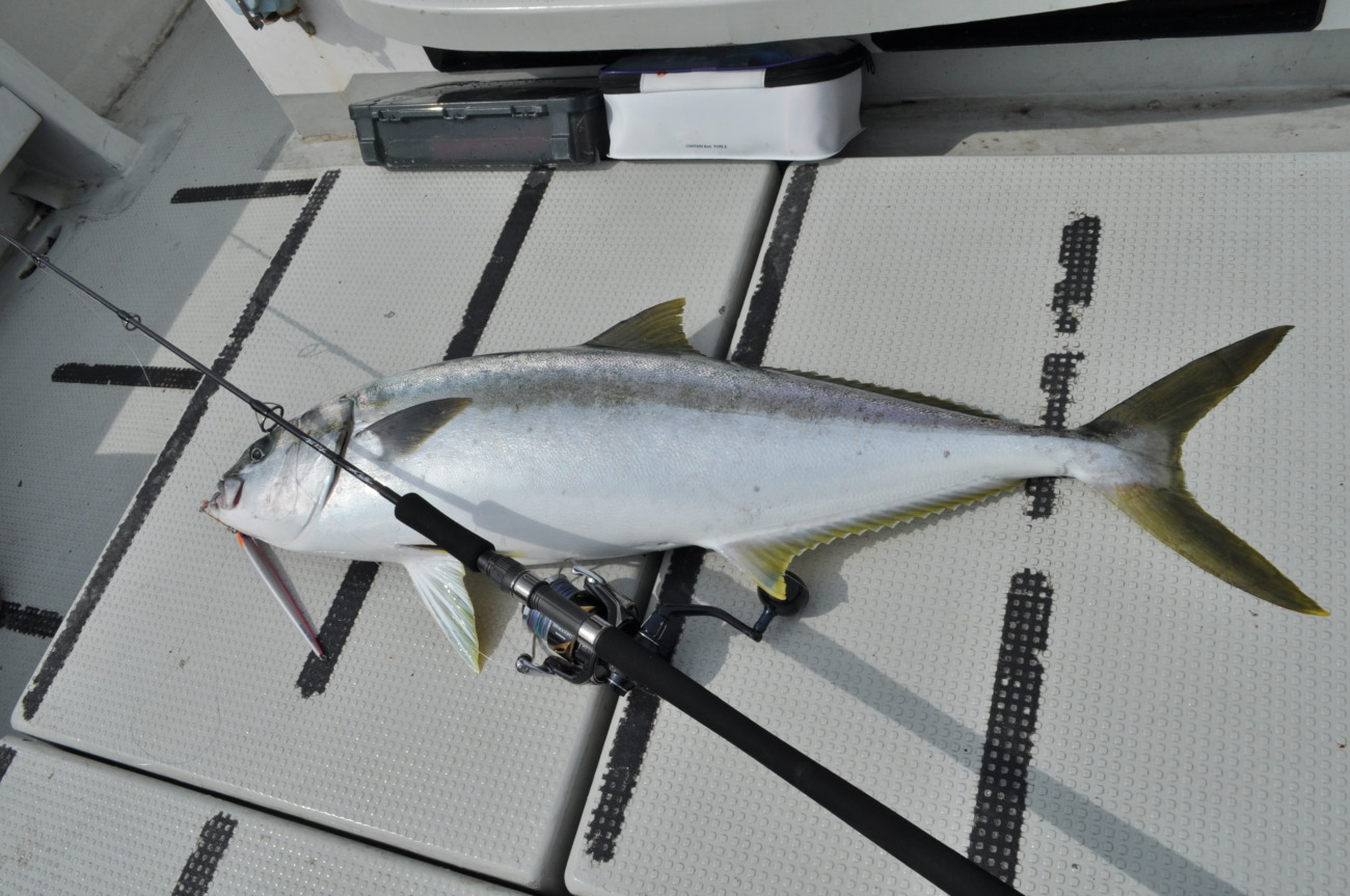 TrickStar 643 | TRUTH JAPAN