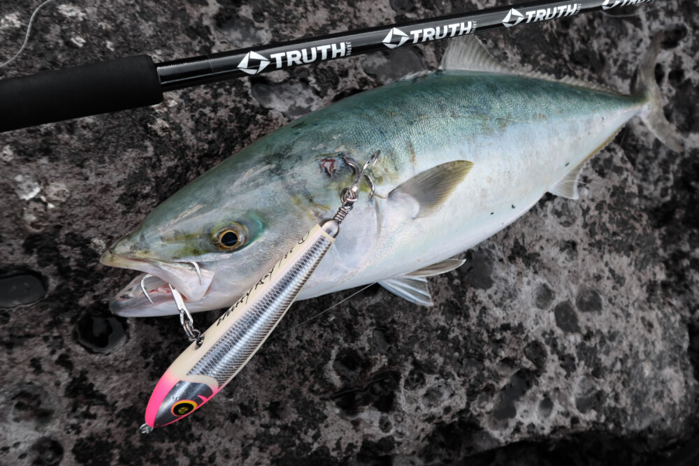 BlackDimension 103 Medium Heavy | TRUTH JAPAN