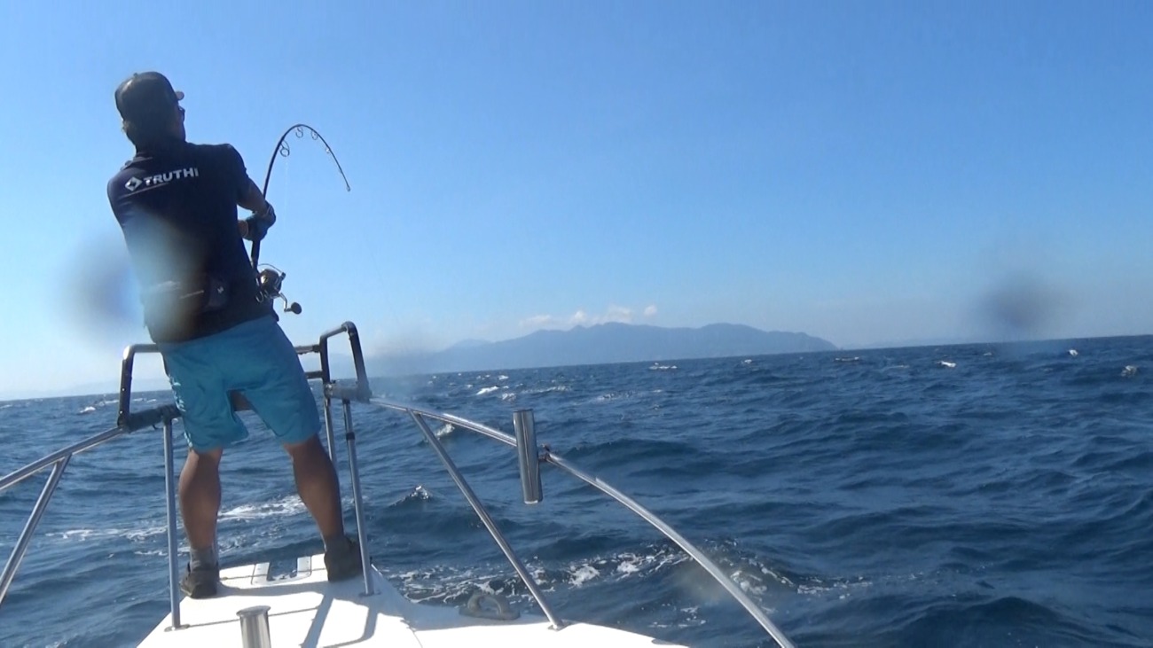 WhiteInsight 7610 | TRUTH JAPAN