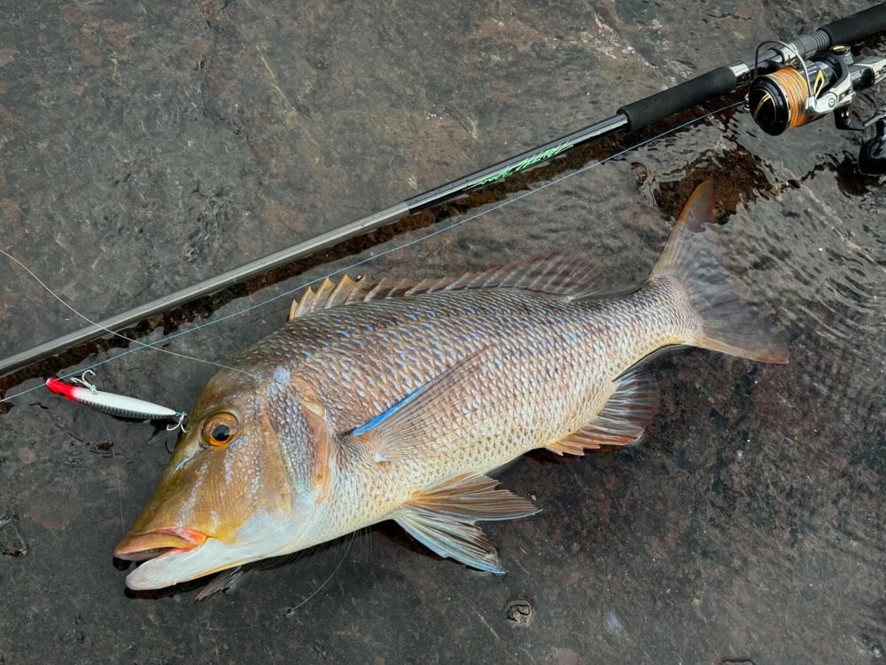 BlackDimension 103 Medium Heavy | TRUTH JAPAN