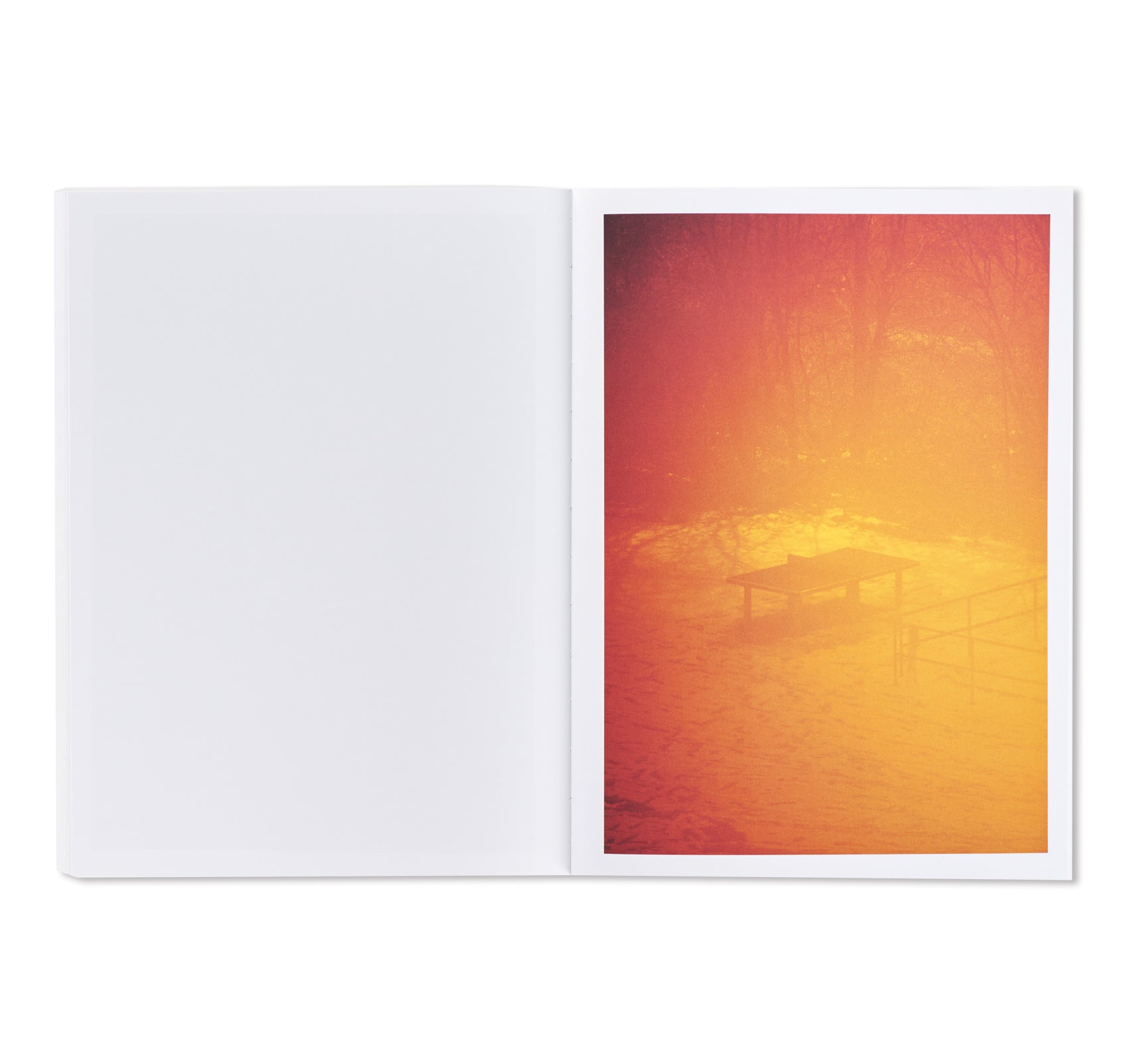 TTP by Hayahisa Tomiyasu – twelvebooks