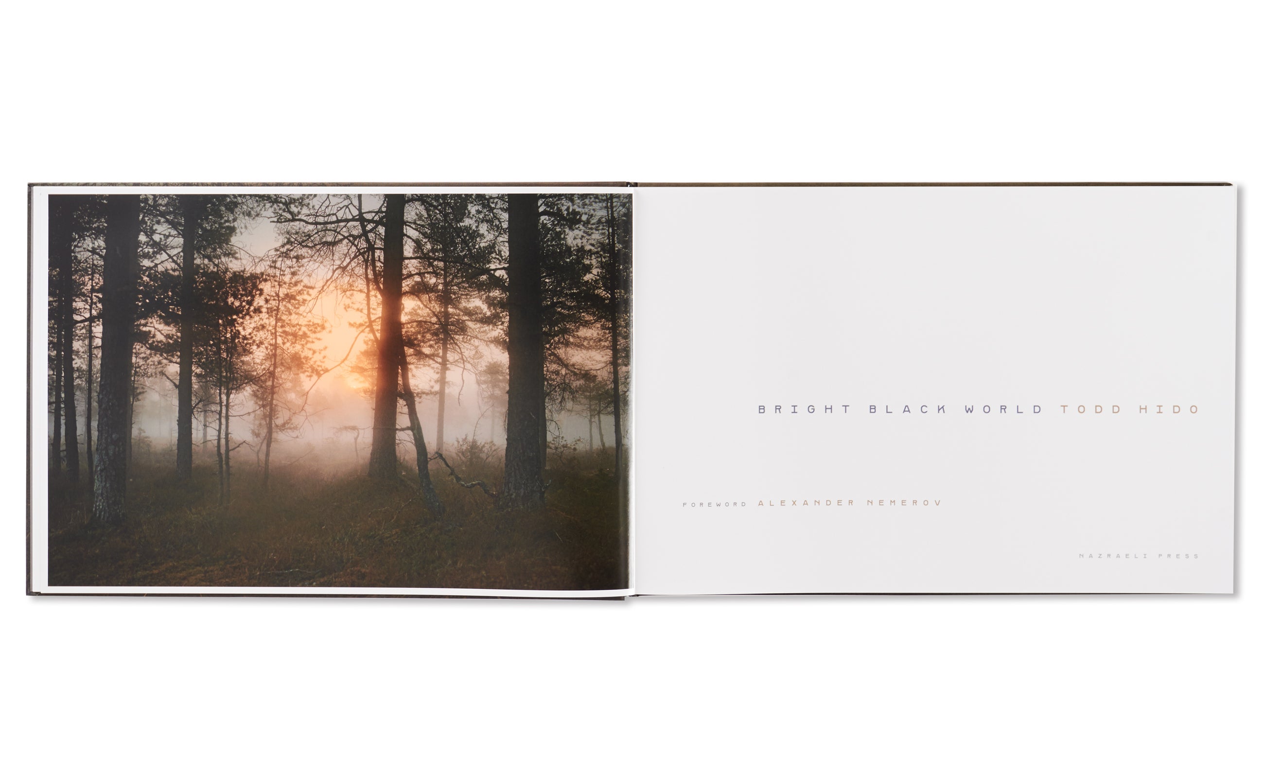 BRIGHT BLACK WORLD by Todd Hido – twelvebooks