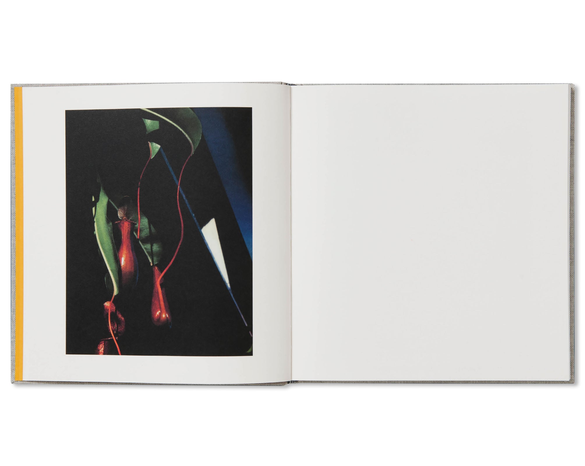 PHOTOGRAPHS by Jack Davison [THIRD EDITION] – twelvebooks