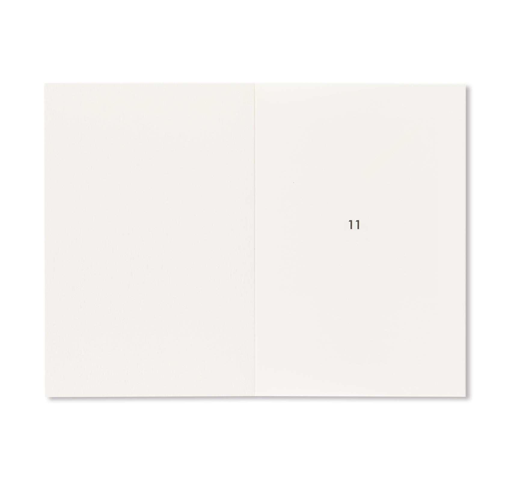 LINA SCHEYNIUS 11 by Lina Scheynius – twelvebooks