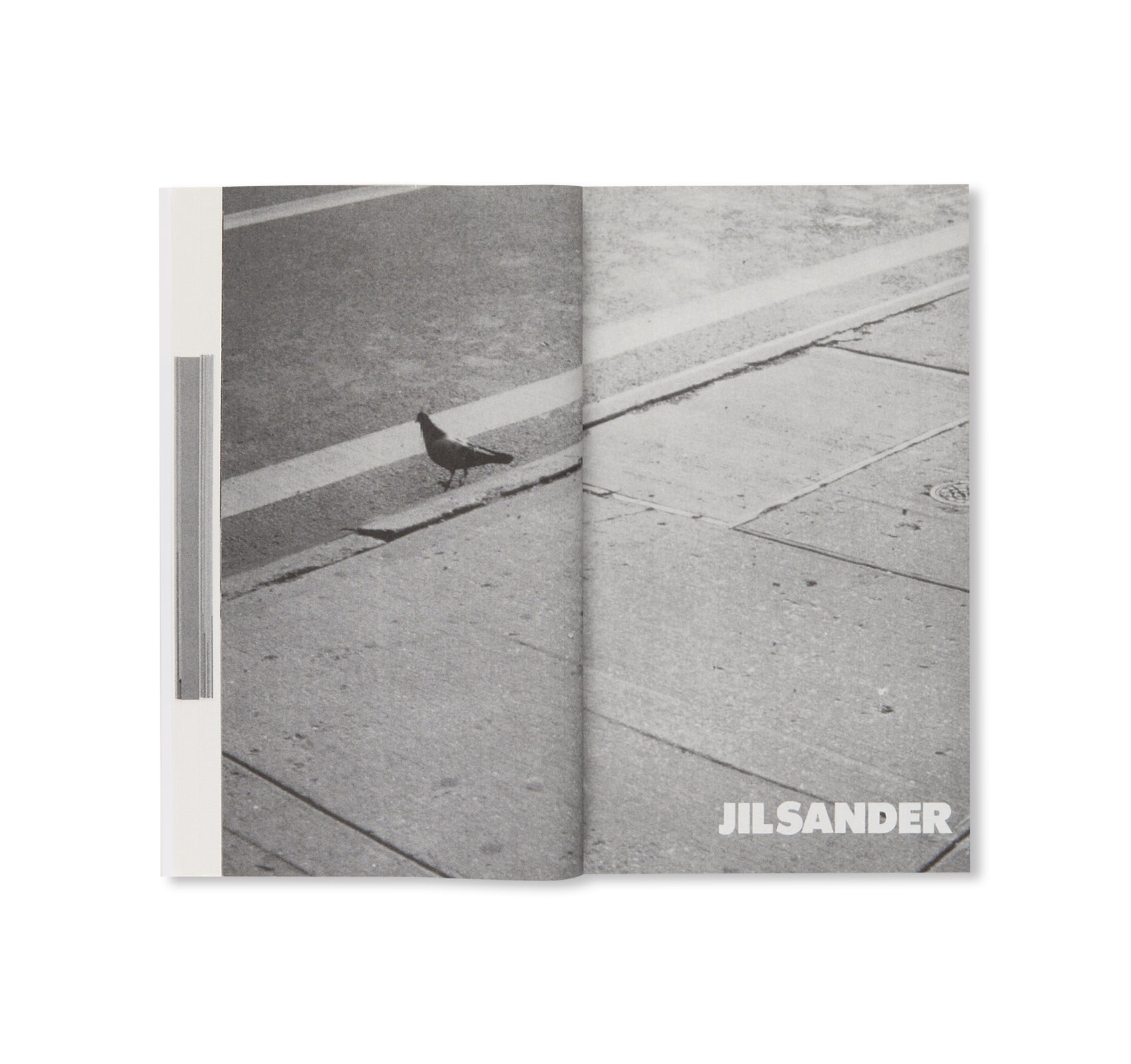 SOCIAL DOCUMENTARIES AMID THIS PIST by Mark Borthwick – twelvebooks