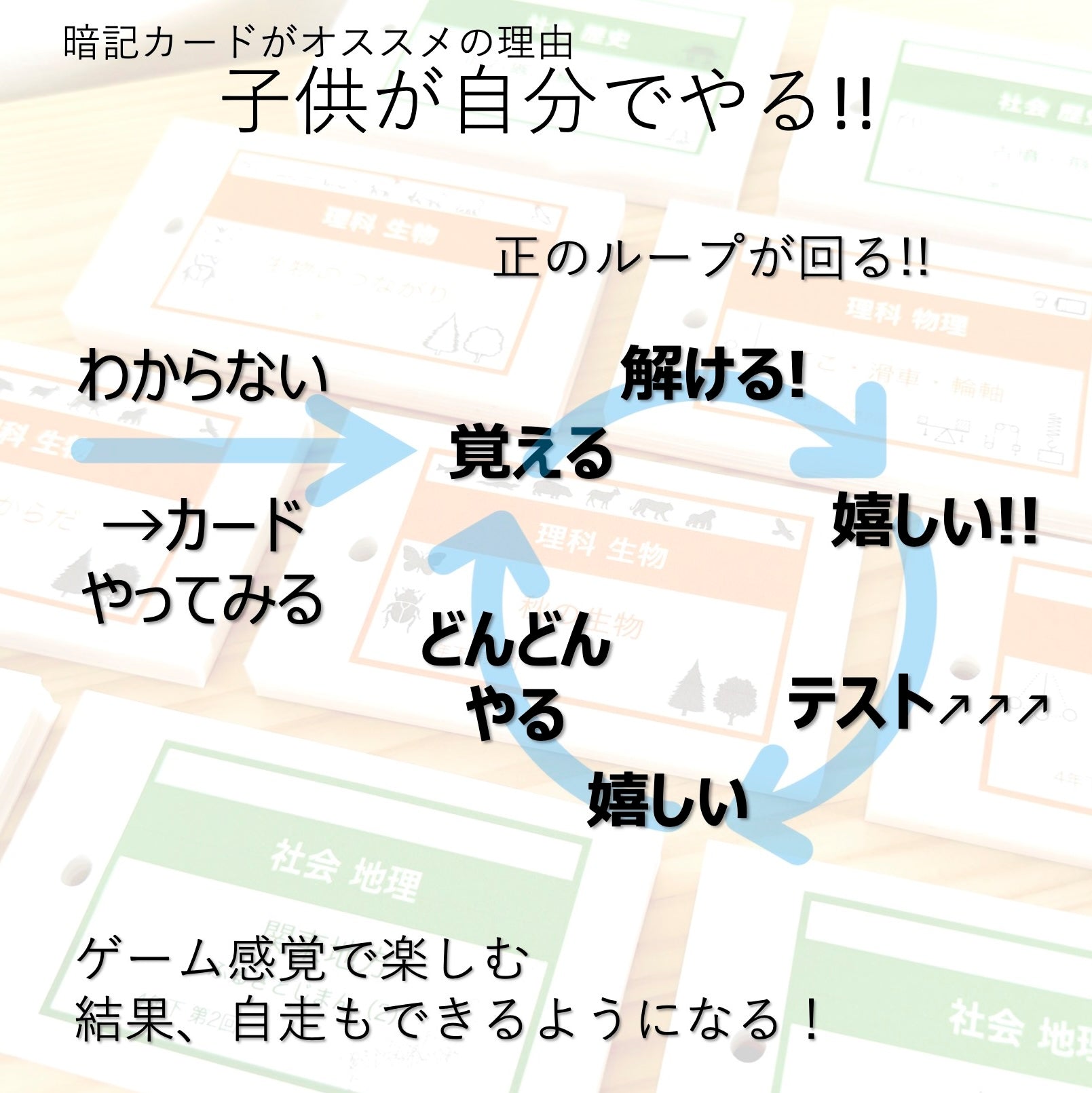 ゆっぽん様 中学受験 暗記カード 4点 中学受験 暗記カード）6年上 社会