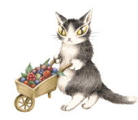 ジタン - わちふぃーるど(猫のダヤン)のキャラクター紹介