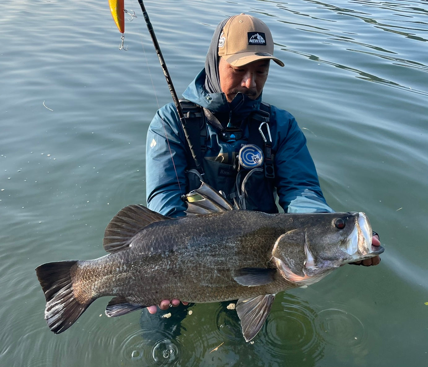 Ridgeline × TULALA Glissando 810 – TULALA online store