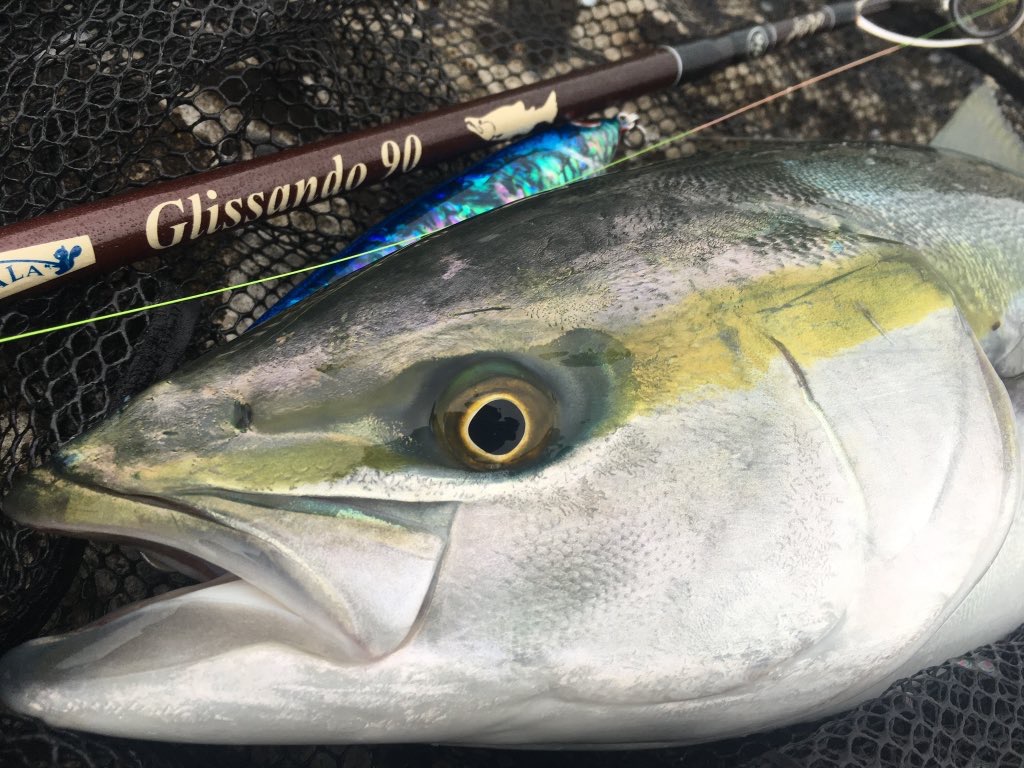 TULALA | Ford every stream | » Glissando 90