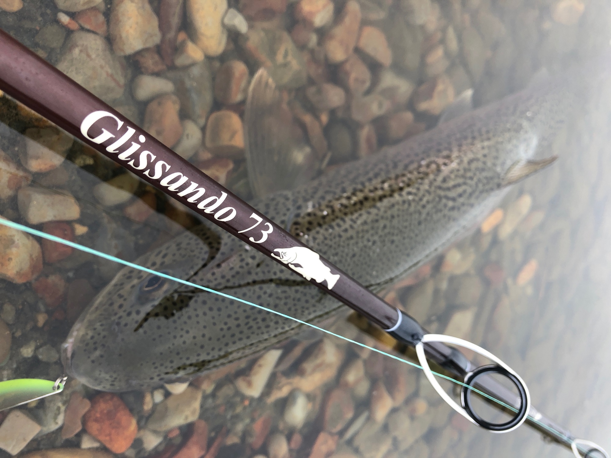 TULALA | Ford every stream | » Glissando 73